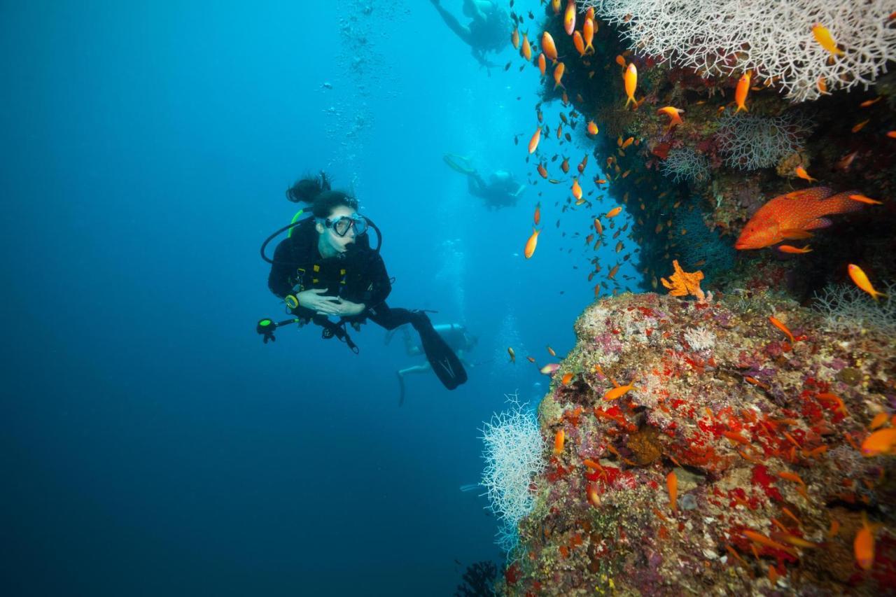 Ja Manafaru, Maldives Otel Hoarafushi Dış mekan fotoğraf